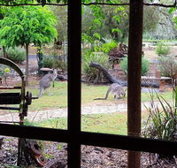 The Wander Inn - Surfers Paradise Gold Coast