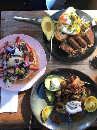 Celsius Coffee Co. - Surfers Paradise Gold Coast 0