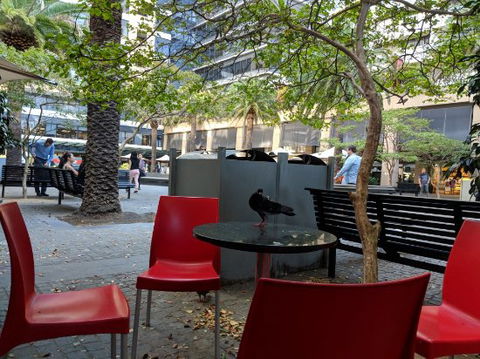 Mcdonald's Family Restaurants - Surfers Paradise Gold Coast 0