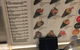 Sushi Bar Makoto Chatswood - thumb 0
