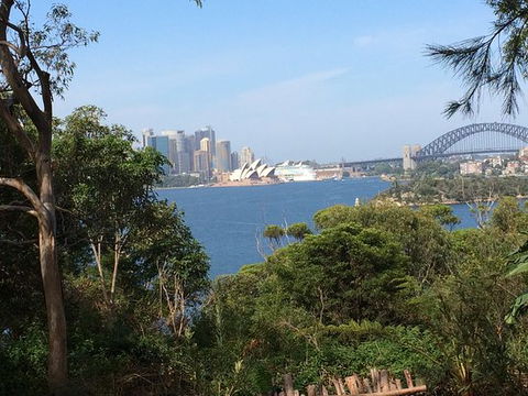 Taronga Zoo - Surfers Paradise Gold Coast 0