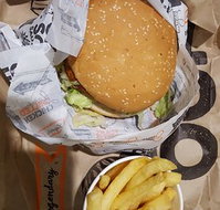 Oporto Parramatta - Surfers Paradise Gold Coast