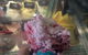 Gelatissimo - thumb 0