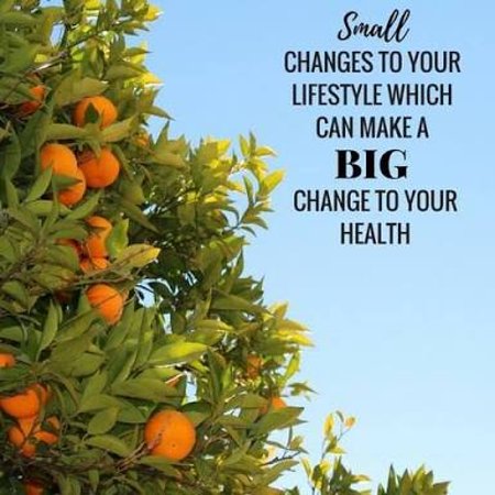 Nelson Bay Health Foods - Surfers Paradise Gold Coast 0
