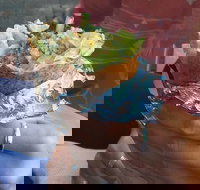 Cedar - Surfers Paradise Gold Coast