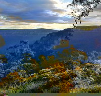 Milkbar - Surfers Paradise Gold Coast