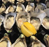 The Oyster Shed - Surfers Paradise Gold Coast