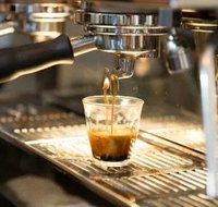 Black Bear Cafe - Surfers Paradise Gold Coast