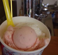 Bermagui Gelati Clinic - Surfers Paradise Gold Coast