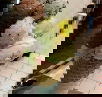 The Natural Waffle Ice Cream Parlour - Surfers Paradise Gold Coast