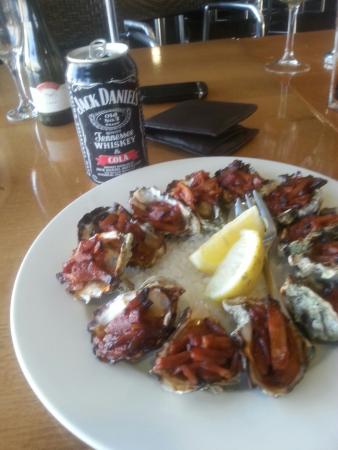 Newcastle Cruising Yacht Club - Surfers Paradise Gold Coast 0
