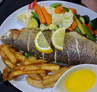 Terracotta - Surfers Paradise Gold Coast