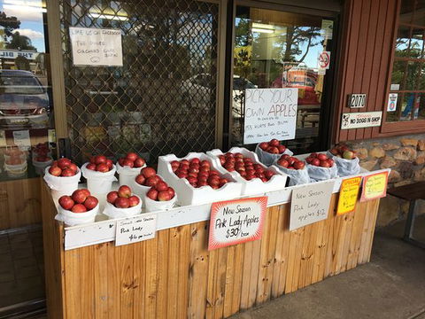 The Pines Orchard - Surfers Paradise Gold Coast 0
