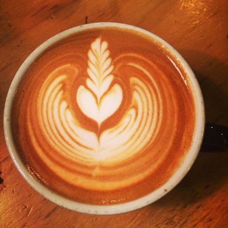 Port Macquarie NSW Surfers Paradise Gold Coast