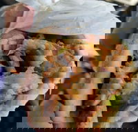 Alektor Charcoal  Grill - Surfers Paradise Gold Coast