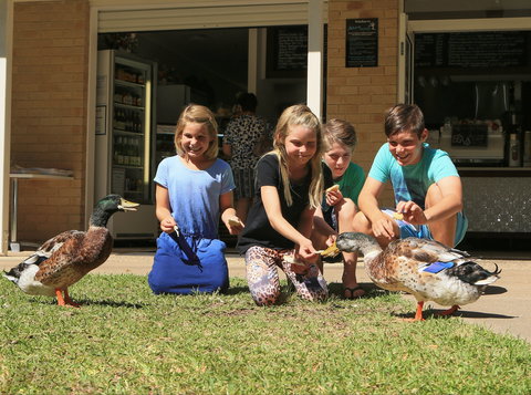 Arkarra Gardens Cafe And Restaurant - Surfers Paradise Gold Coast 2