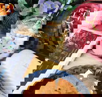 Calypso Cafe  Juice Bar - Wolli Creek - Surfers Paradise Gold Coast