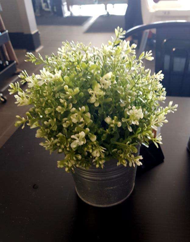 Wungong WA Surfers Paradise Gold Coast