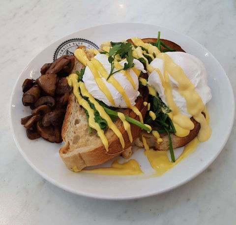 Jamaica Blue - Rockingham - Surfers Paradise Gold Coast 0