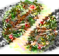 Sumo Salad - Chippendale - Surfers Paradise Gold Coast