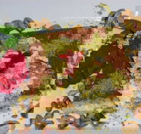 Sweet City - Surfers Paradise Gold Coast