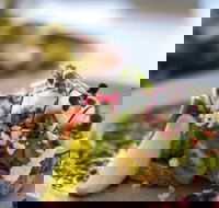 The Jolly Miller - Deer Park - Surfers Paradise Gold Coast