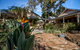 Briar Ridge Vineyard - thumb 0