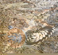 Salt. Coffee Roasters - Surfers Paradise Gold Coast