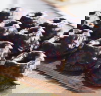 Botanica - Red Hill - Surfers Paradise Gold Coast