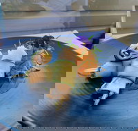 Echoes Restaurant - Surfers Paradise Gold Coast