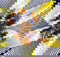 Food Business  Chapel Hill - Surfers Paradise Gold Coast