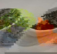 Foster  Black - Brisbane CBD - Surfers Paradise Gold Coast