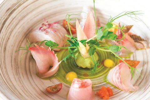 TARA SUSHI BAR - Surfers Paradise Gold Coast 0
