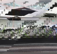 D Cafe - Surfers Paradise Gold Coast