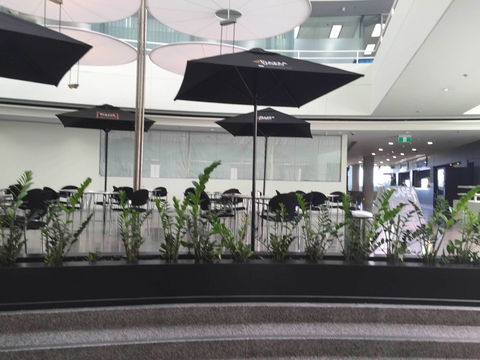 D Cafe - Surfers Paradise Gold Coast 0