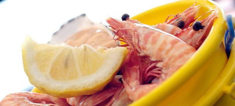 On The Inlet Seafood Restaurant - Surfers Paradise Gold Coast 1