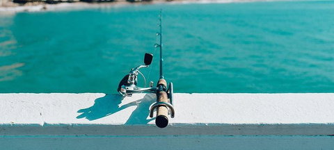 On The Inlet Seafood Restaurant - Surfers Paradise Gold Coast 2