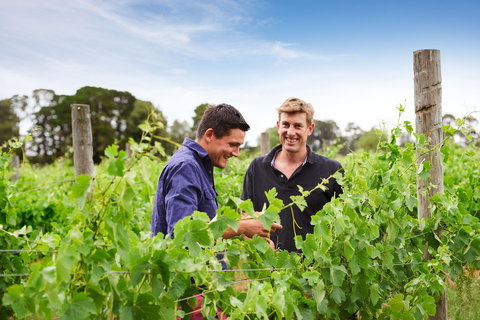 Shadowfax Winery - Surfers Paradise Gold Coast 1