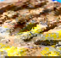 Charlie's Raw Squeeze - Greenslopes - Surfers Paradise Gold Coast