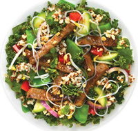 Sumo Salad - Glebe - Surfers Paradise Gold Coast