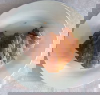 The Bread Expert - Surfers Paradise Gold Coast