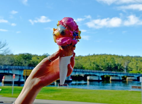 The River Cafe Nelligen - Surfers Paradise Gold Coast 2