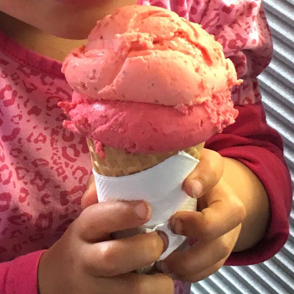 Bellingen NSW Surfers Paradise Gold Coast