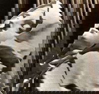 KFC - Joondalup - Surfers Paradise Gold Coast