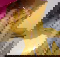 Red Rooster - Joondalup - Surfers Paradise Gold Coast