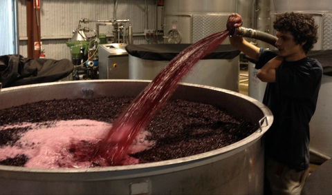 Ross Hill Wines - Surfers Paradise Gold Coast 2