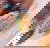 Sebastian's Food  Wine - Surfers Paradise Gold Coast