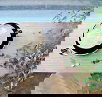 Glasshouse Hampton - Surfers Paradise Gold Coast