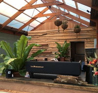 Native Home House of Plants - Surfers Paradise Gold Coast