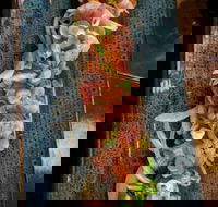 Yorokobi - Surfers Paradise Gold Coast